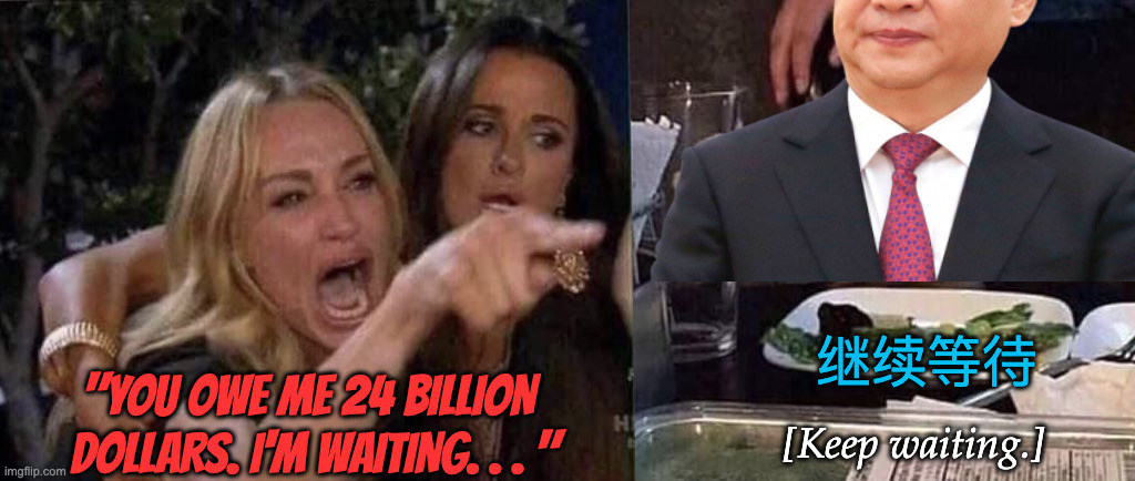 woman yelling at cat | "YOU OWE ME 24 BILLION  DOLLARS. I'M WAITING. . . " 继续等待 [Keep waiting.] | image tagged in woman yelling at cat | made w/ Imgflip meme maker