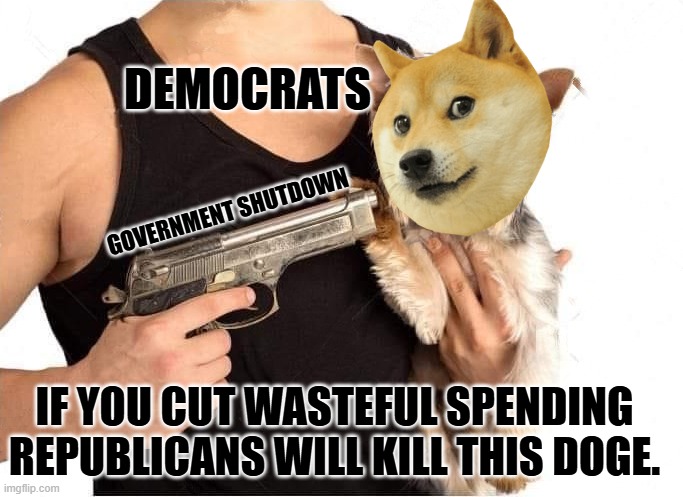 Same old tactic, hold the government funding hostage and blame the other party. | DEMOCRATS; GOVERNMENT SHUTDOWN; IF YOU CUT WASTEFUL SPENDING REPUBLICANS WILL KILL THIS DOGE. | image tagged in dog hostage | made w/ Imgflip meme maker