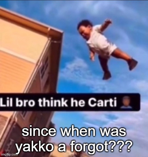 an f slur even | since when was yakko a forgot??? | image tagged in lil bro think he carti | made w/ Imgflip meme maker