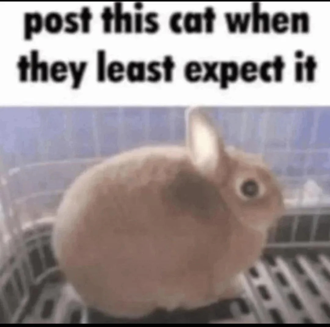 Send it when they least expect it Blank Meme Template