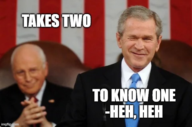 Dick Cheney and George W Bush | TAKES TWO TO KNOW ONE
-HEH, HEH | image tagged in dick cheney and george w bush | made w/ Imgflip meme maker