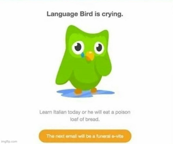 Duolingo bird | image tagged in duolingo bird | made w/ Imgflip meme maker