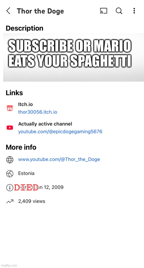 Thor the doge roasts you in his description | SUBSCRIBE OR MARIO EATS YOUR SPAGHETTI; DIED | image tagged in smg4 | made w/ Imgflip meme maker