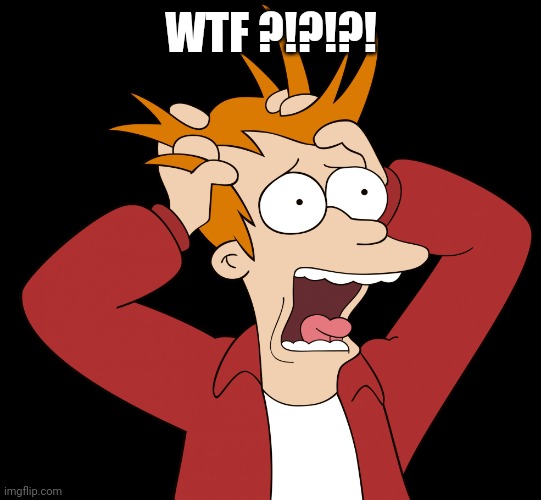 Futurama Fry Screaming | WTF ?!?!?! | image tagged in futurama fry screaming | made w/ Imgflip meme maker