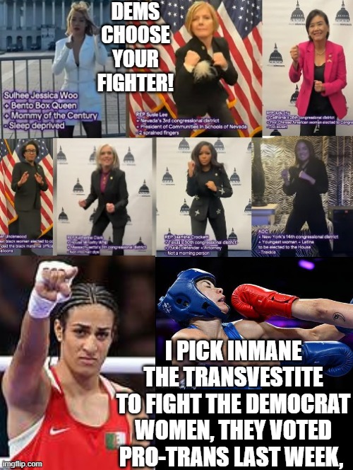 Dems pick your fighter!!! I pick Inmane the transvestite to fight! | DEMS CHOOSE YOUR FIGHTER! I PICK INMANE THE TRANSVESTITE TO FIGHT THE DEMOCRAT WOMEN, THEY VOTED PRO-TRANS LAST WEEK, | image tagged in boxing | made w/ Imgflip meme maker