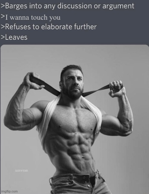 Chad barges into discussion (with correct font) | I wanna touch you | image tagged in chad barges into discussion with correct font | made w/ Imgflip meme maker