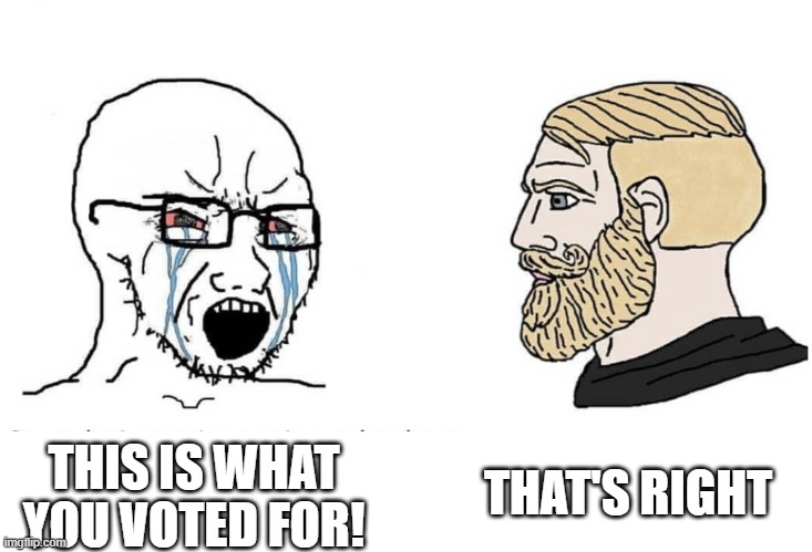 Get It | THAT'S RIGHT; THIS IS WHAT YOU VOTED FOR! | image tagged in soyboy vs yes chad | made w/ Imgflip meme maker