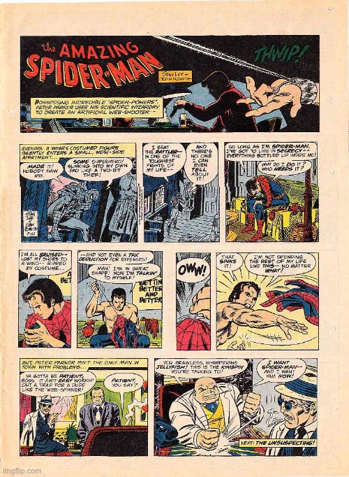 The Amazing Spider-Man | image tagged in comics | made w/ Imgflip meme maker