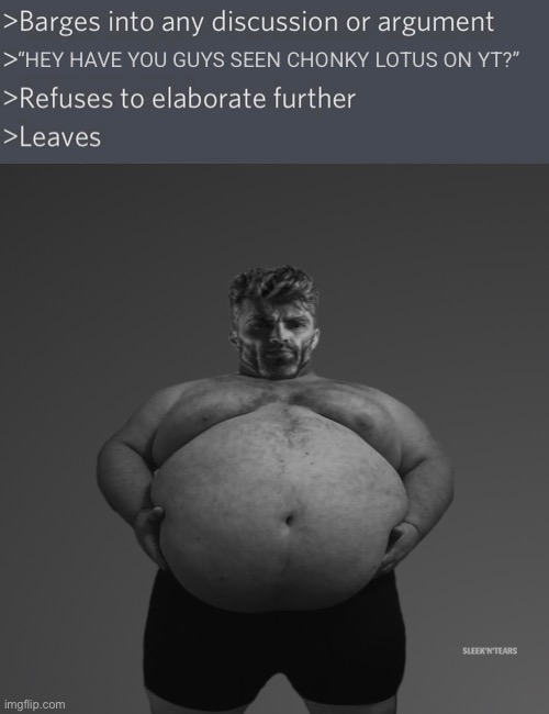 Chad barges into discussion (with correct font) | “HEY HAVE YOU GUYS SEEN CHONKY LOTUS ON YT?” | image tagged in chad barges into discussion with correct font | made w/ Imgflip meme maker