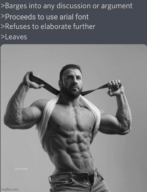 Chad barges into discussion (with correct font) | Proceeds to use arial font | image tagged in chad barges into discussion with correct font | made w/ Imgflip meme maker