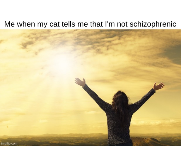 ​ | Me when my cat tells me that I'm not schizophrenic | image tagged in relief hallelujah | made w/ Imgflip meme maker