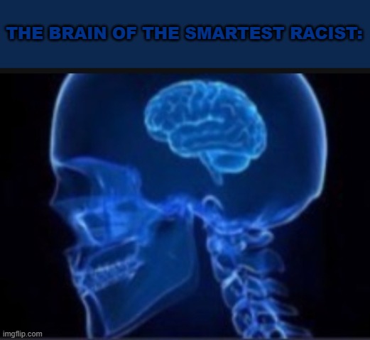 people who call black people monkeys are dumb | THE BRAIN OF THE SMARTEST RACIST: | image tagged in small brain,racism,dumb | made w/ Imgflip meme maker