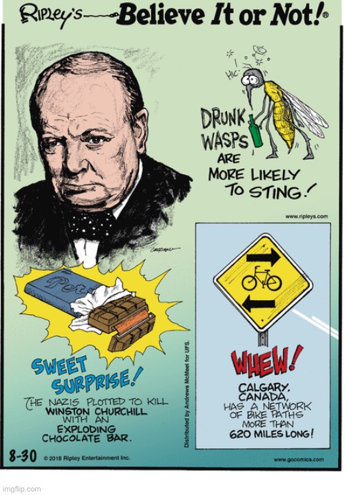 Ripley’s Believe It or Not | image tagged in wasps,drunk,chocolate,winston churchill,canada,biking | made w/ Imgflip meme maker