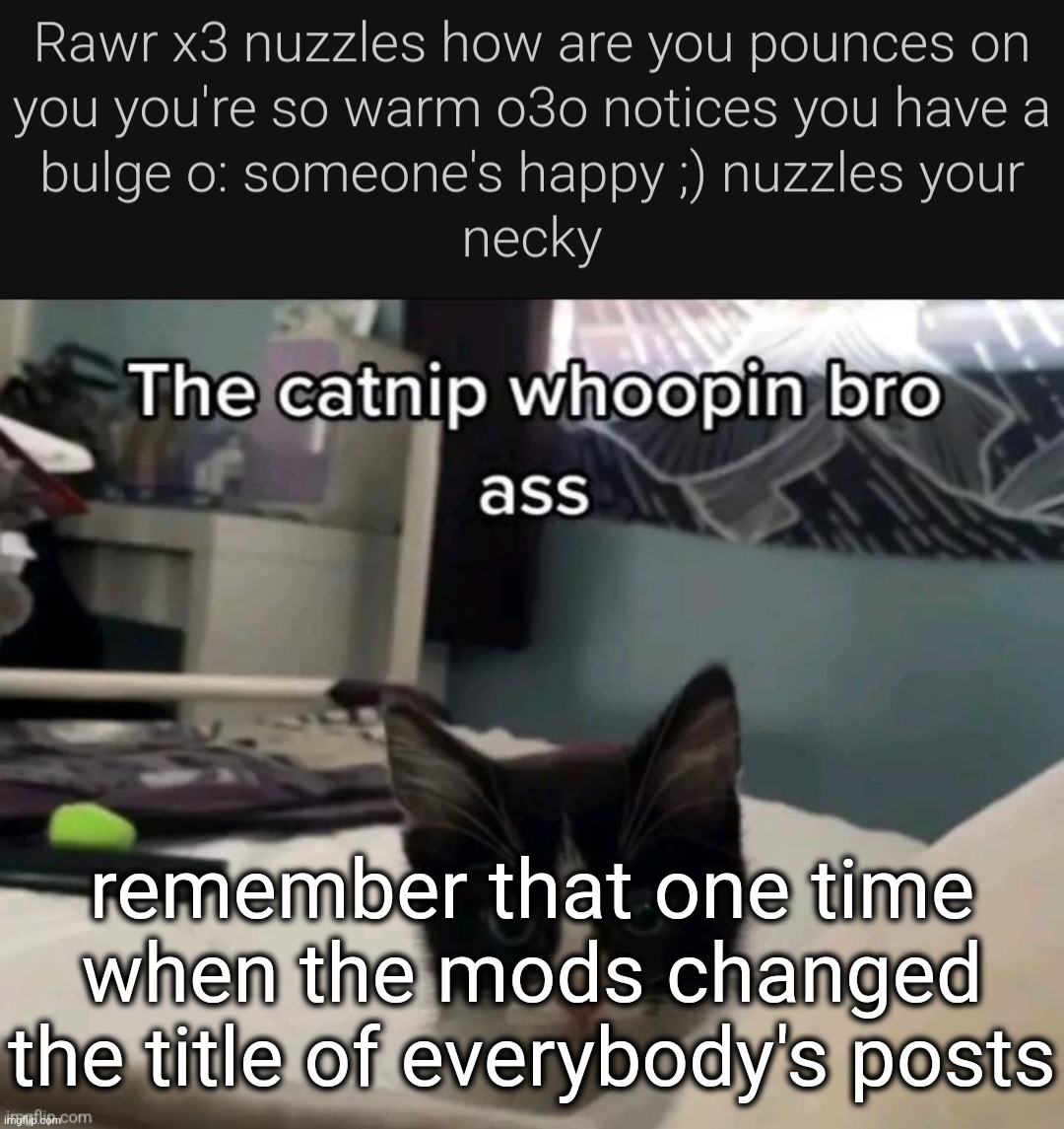 poop fart | remember that one time when the mods changed the title of everybody's posts | made w/ Imgflip meme maker