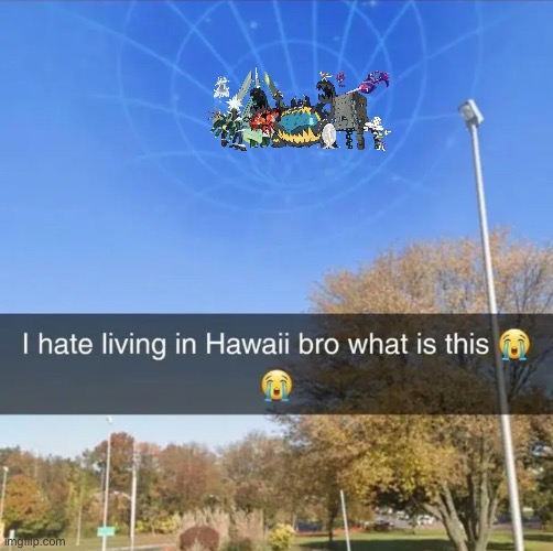 I hate living in Hawaii bro what is this | image tagged in i hate living in hawaii bro what is this | made w/ Imgflip meme maker