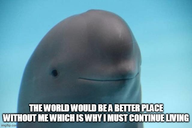 Ye | THE WORLD WOULD BE A BETTER PLACE WITHOUT ME WHICH IS WHY I MUST CONTINUE LIVING | image tagged in smiling dolphin | made w/ Imgflip meme maker