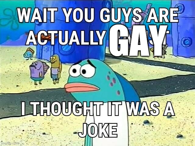 wait you guys are actually i thought it was a joke | GAY | image tagged in wait you guys are actually i thought it was a joke | made w/ Imgflip meme maker