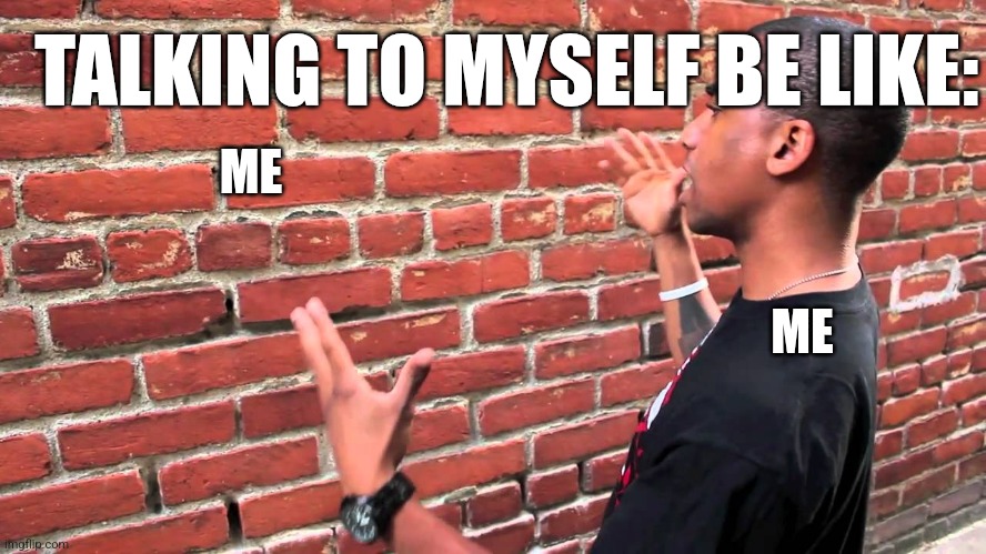 Talking to wall | TALKING TO MYSELF BE LIKE:; ME; ME | image tagged in talking to wall | made w/ Imgflip meme maker