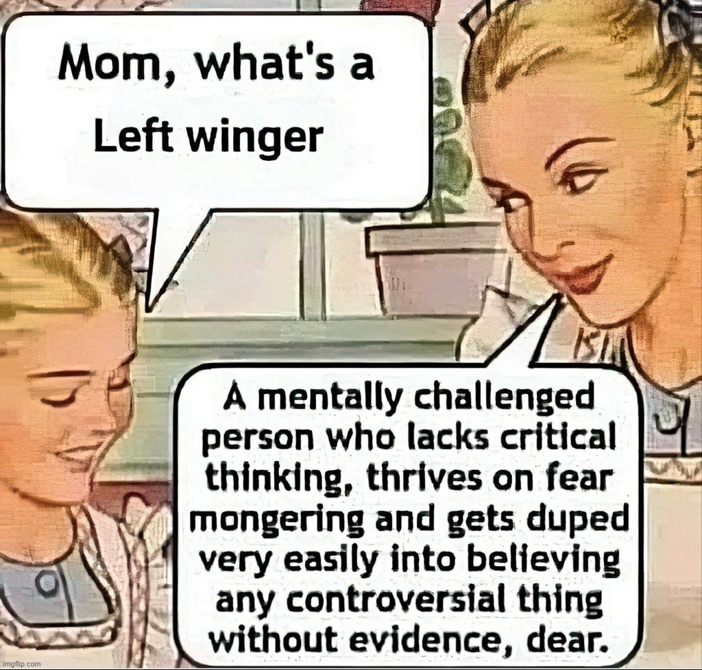 Mom, what's a left winger? | image tagged in left winger,left wing,triggering liberals,sjw triggered,angry sjw,triggered feminist | made w/ Imgflip meme maker