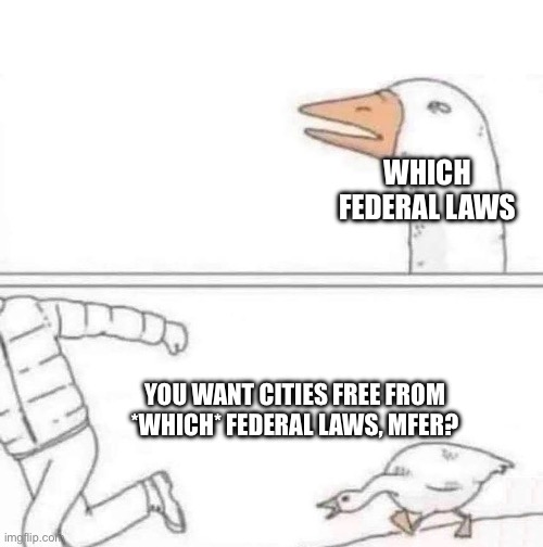 Goose Chase | WHICH FEDERAL LAWS; YOU WANT CITIES FREE FROM *WHICH* FEDERAL LAWS, MFER? | image tagged in goose chase | made w/ Imgflip meme maker