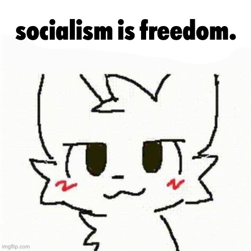 TRVTH NVKE | socialism is freedom. | image tagged in boykisser | made w/ Imgflip meme maker