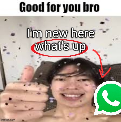 Good for you bro (Iraqi_Randomizer temp) | I'm new here
what's up | image tagged in good for you bro iraqi_randomizer temp | made w/ Imgflip meme maker