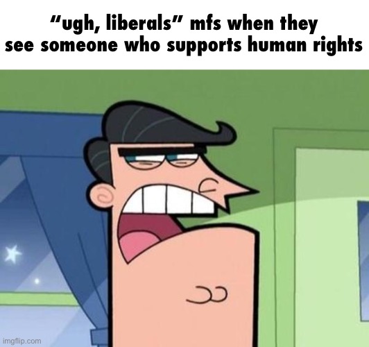 Dingleberg | “ugh, liberals” mfs when they see someone who supports human rights | image tagged in dingleberg,liberals | made w/ Imgflip meme maker