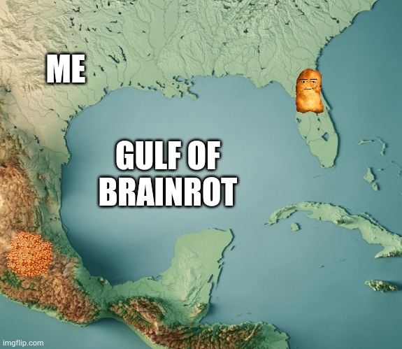 Gulf of brainrot | ME; GULF OF BRAINROT | image tagged in gulf of what,brainrot,memes,jokes | made w/ Imgflip meme maker