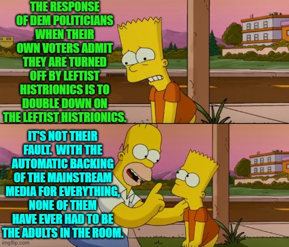 It makes sense now, doesn't it? | THE RESPONSE OF DEM POLITICIANS WHEN THEIR OWN VOTERS ADMIT THEY ARE TURNED OFF BY LEFTIST HISTRIONICS IS TO DOUBLE DOWN ON THE LEFTIST HISTRIONICS. IT'S NOT THEIR FAULT.  WITH THE AUTOMATIC BACKING OF THE MAINSTREAM MEDIA FOR EVERYTHING, NONE OF THEM HAVE EVER HAD TO BE THE ADULTS IN THE ROOM. | image tagged in simpsons so far | made w/ Imgflip meme maker