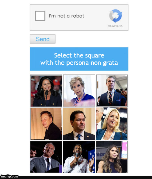 One isn't like the rest | Select the square with the persona non grata | image tagged in the fisrt to go,for whom the bell tolls,little marco,part time job,children seen but not heard,maga menagerie | made w/ Imgflip meme maker