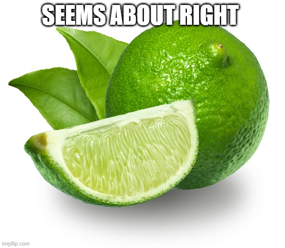 Lime | SEEMS ABOUT RIGHT | image tagged in lime | made w/ Imgflip meme maker