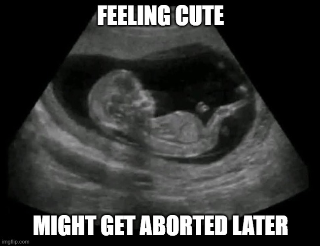 Fetus | FEELING CUTE; MIGHT GET ABORTED LATER | image tagged in dark humor | made w/ Imgflip meme maker