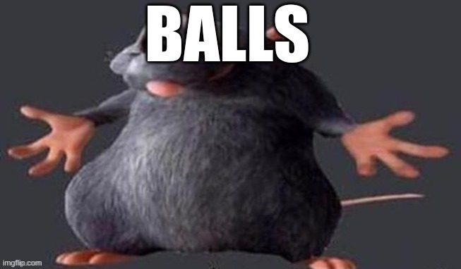 BALLS | image tagged in shrugging rat | made w/ Imgflip meme maker