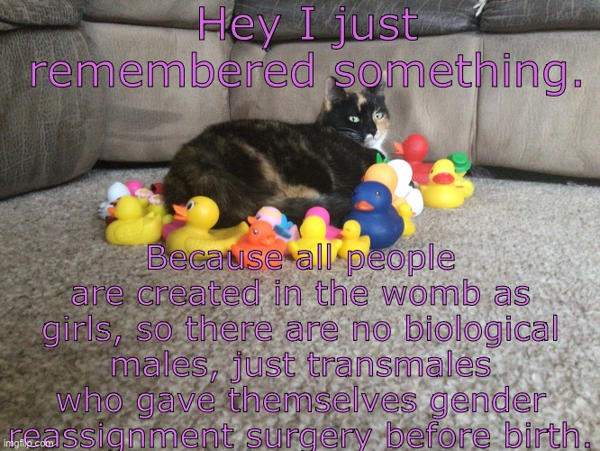 If you think about it |:) | Hey I just remembered something. Because all people are created in the womb as girls, so there are no biological males, just transmales who gave themselves gender reassignment surgery before birth. | image tagged in star s template | made w/ Imgflip meme maker