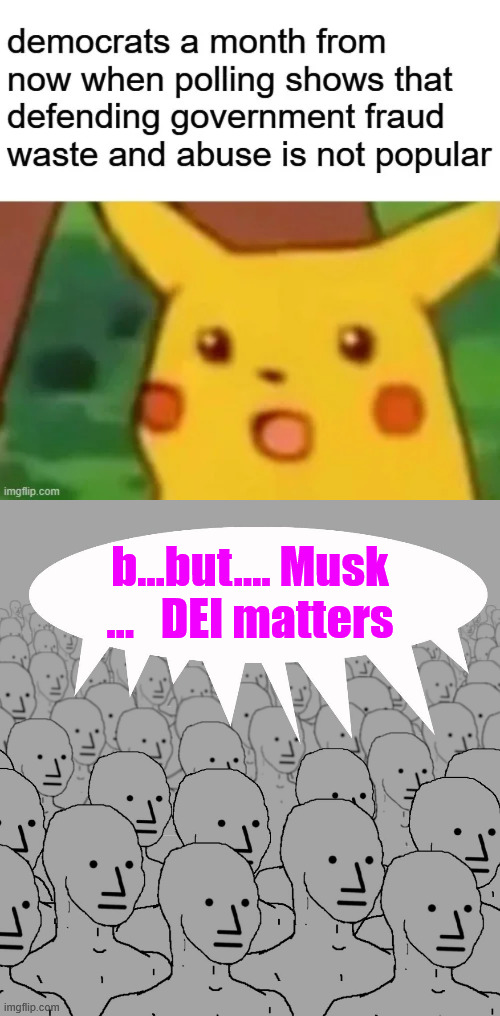 b...but.... Musk
...   DEI matters | image tagged in npc-crowd | made w/ Imgflip meme maker