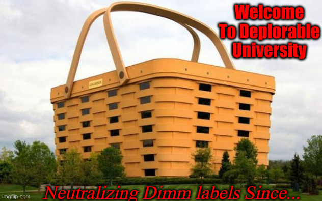 Their Strategies No Longer Work | Welcome To Deplorable University; Neutralizing Dimm labels Since... | image tagged in picnic basket building,political meme,politics,funny memes,funny | made w/ Imgflip meme maker