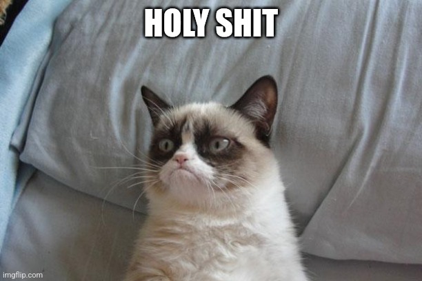 Grumpy Cat Bed Meme | HOLY SHIT | image tagged in memes,grumpy cat bed,grumpy cat | made w/ Imgflip meme maker