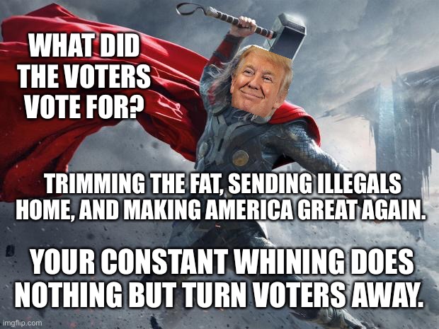 I must say the losing party seem petty & spiteful and it hasn’t let up. | WHAT DID THE VOTERS VOTE FOR? TRIMMING THE FAT, SENDING ILLEGALS HOME, AND MAKING AMERICA GREAT AGAIN. YOUR CONSTANT WHINING DOES NOTHING BUT TURN VOTERS AWAY. | image tagged in thor1 | made w/ Imgflip meme maker