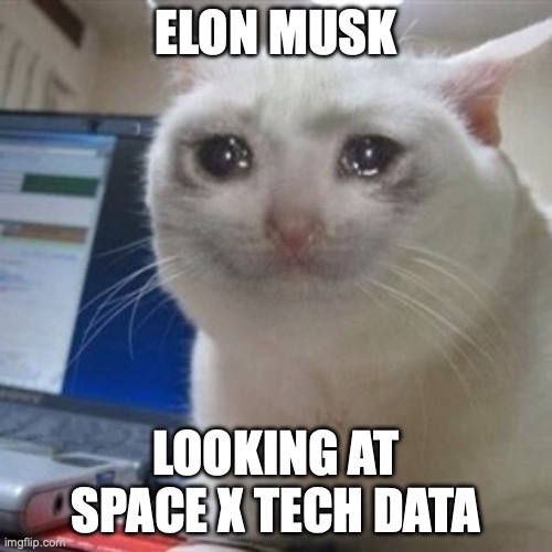 Crying cat | ELON MUSK; LOOKING AT SPACE X TECH DATA | image tagged in crying cat | made w/ Imgflip meme maker