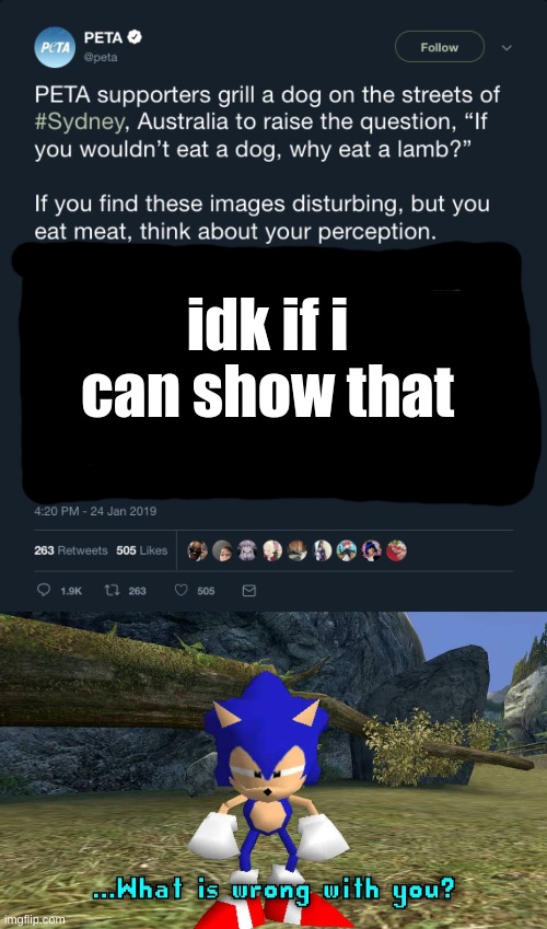 idk if i can show that | image tagged in sonic what s wrong with you | made w/ Imgflip meme maker