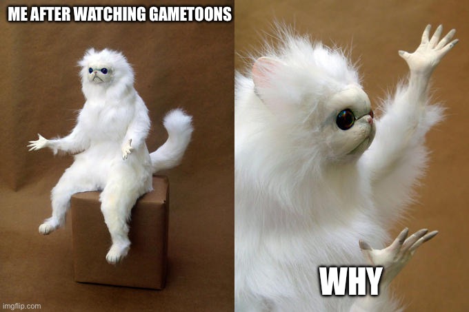 i about confuse you | ME AFTER WATCHING GAMETOONS; WHY | image tagged in memes,persian cat room guardian | made w/ Imgflip meme maker