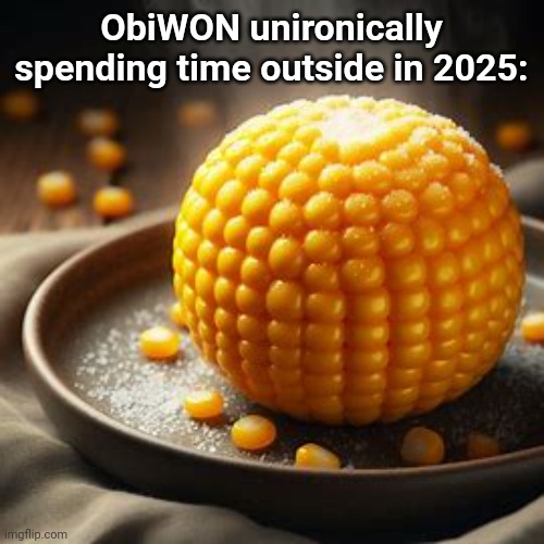 he reads books too | ObiWON unironically spending time outside in 2025: | image tagged in cornball | made w/ Imgflip meme maker