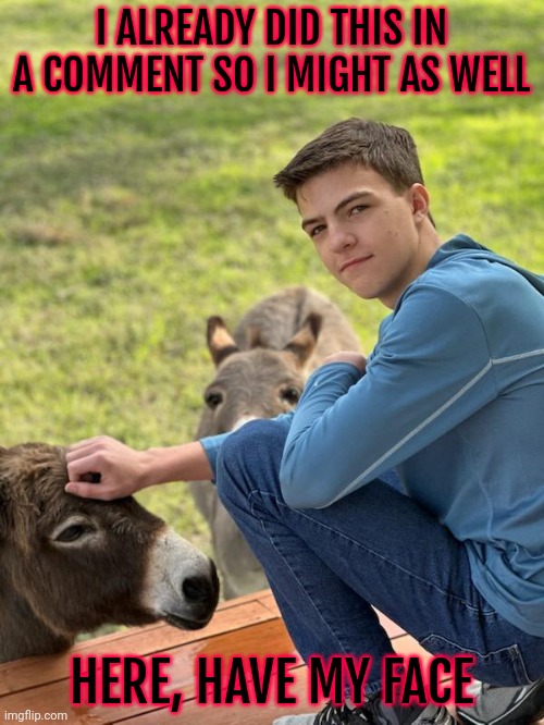 Face reveal jumpscare (I'm the donkey in the bottom left) | I ALREADY DID THIS IN A COMMENT SO I MIGHT AS WELL; HERE, HAVE MY FACE | made w/ Imgflip meme maker