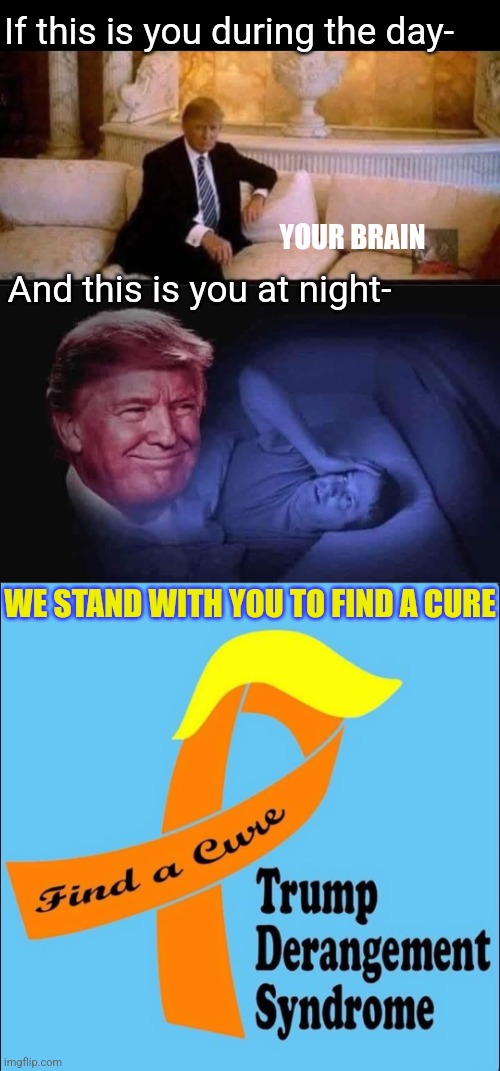 TDS.  Get Help. | If this is you during the day-; YOUR BRAIN; And this is you at night-; WE STAND WITH YOU TO FIND A CURE | image tagged in tds,trump derangement syndrome,for real,find a cure,democrat,problems | made w/ Imgflip meme maker