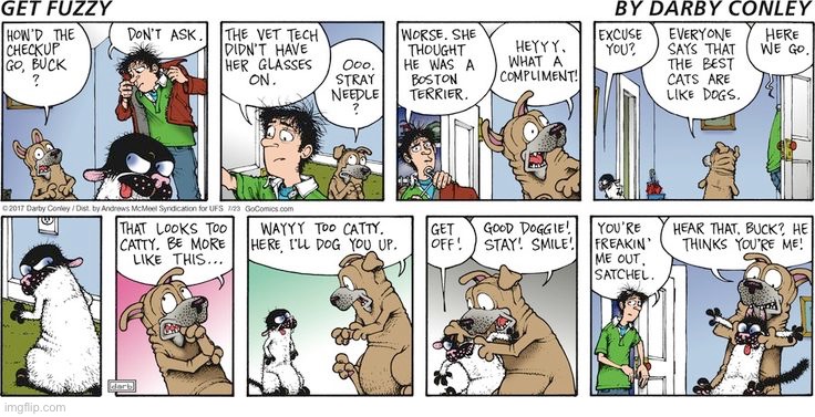 Get Fuzzy | image tagged in comics | made w/ Imgflip meme maker