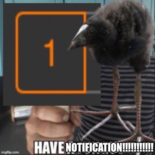 Have a notification (original) | NOTIFICATION!!!!!!!!!!! | image tagged in have a notification | made w/ Imgflip meme maker