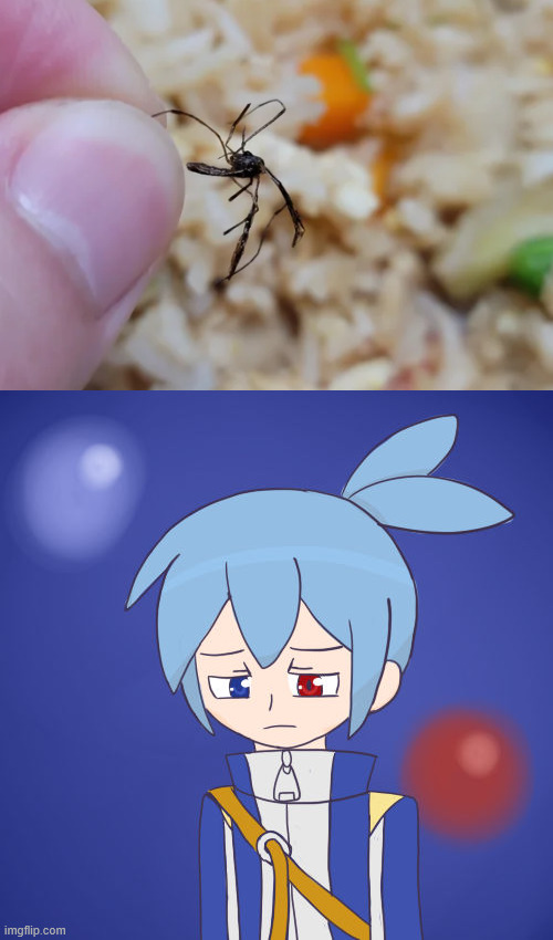 Bug in thai food | image tagged in memes,bug,thailand,food,gross | made w/ Imgflip meme maker