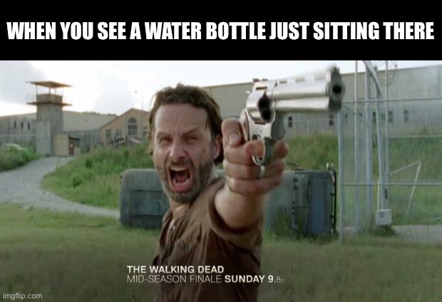 O-O | WHEN YOU SEE A WATER BOTTLE JUST SITTING THERE | image tagged in rick grimes' colt python,guns,wisdom,dank memes,funny memes,lol so funny | made w/ Imgflip meme maker