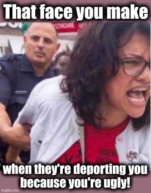 Congresswoman and criminal Rashida Harbi Tlaib | That face you make when they're deporting you
because you're ugly! | image tagged in congresswoman and criminal rashida harbi tlaib | made w/ Imgflip meme maker