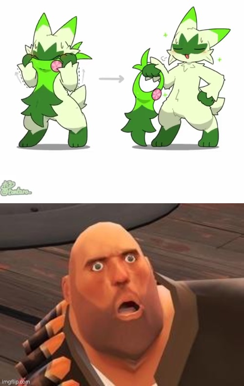 ...Floragato? Care to explain? | image tagged in tf2 heavy,floragato | made w/ Imgflip meme maker